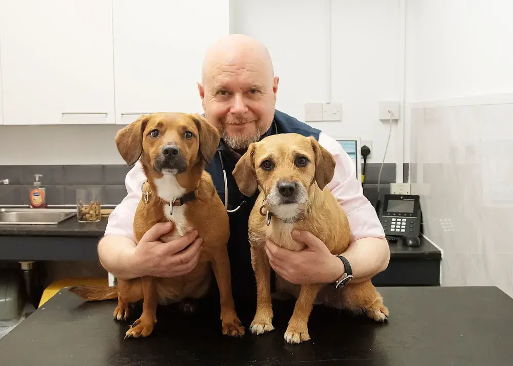 Pike Moor Vets practice photo