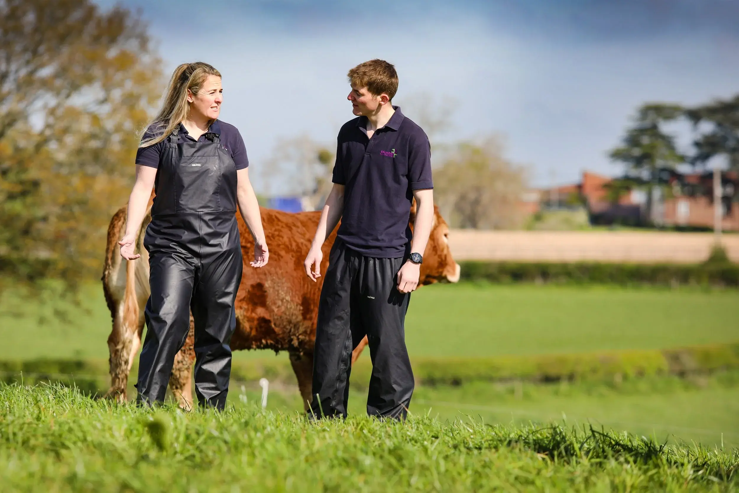 Belmont Farm and Equine Vets practice photo