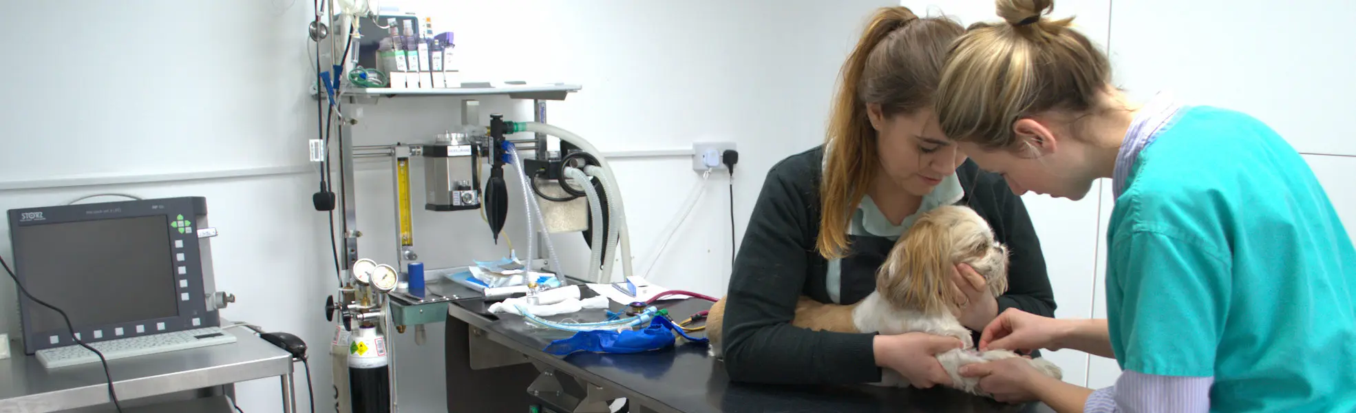 Dacre House Veterinary Clinic practice photo