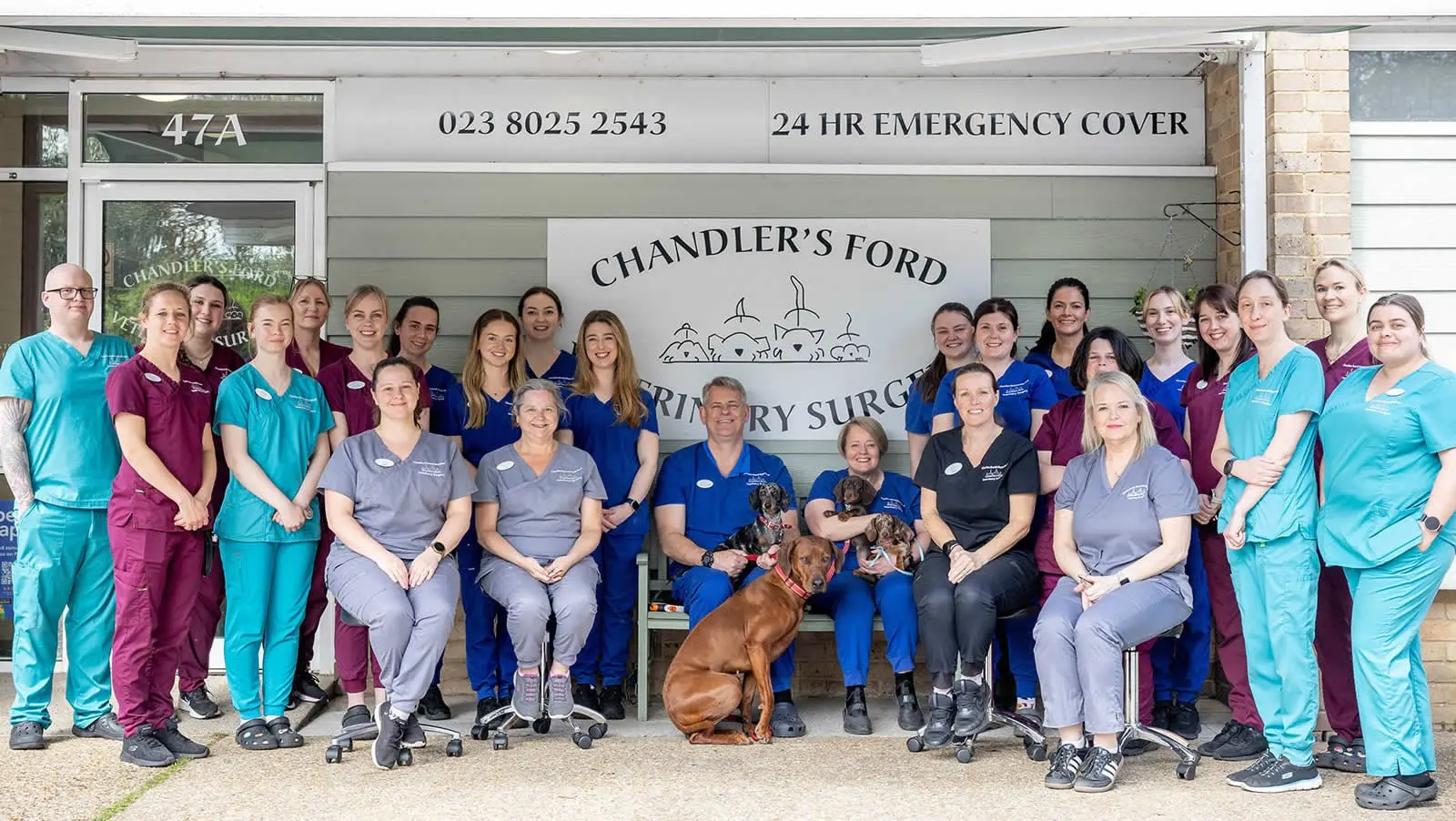 Chandlers Ford Vets practice photo