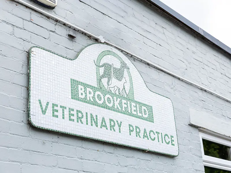 Brookfield Vets practice photo
