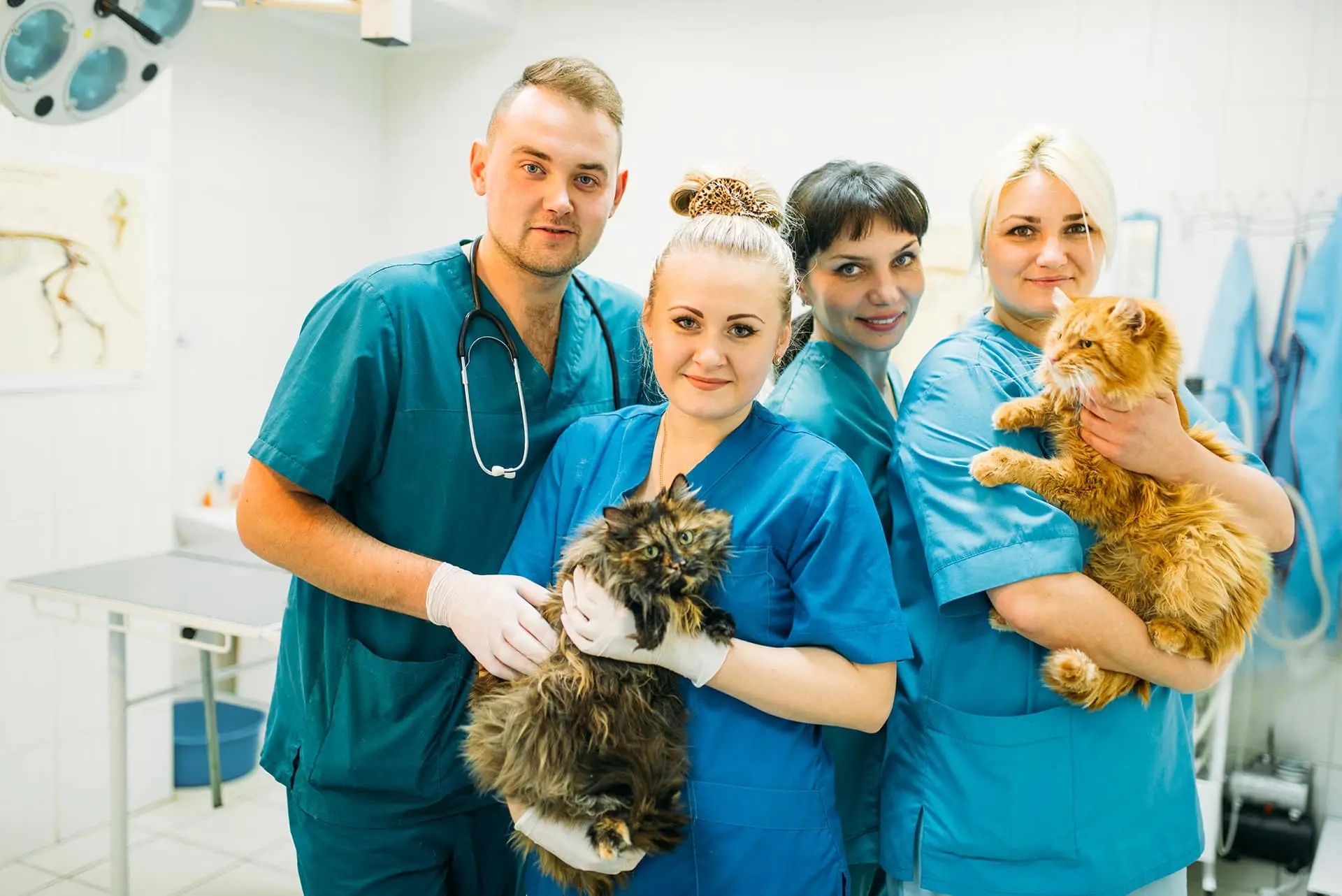 Rase Veterinary Centre practice photo