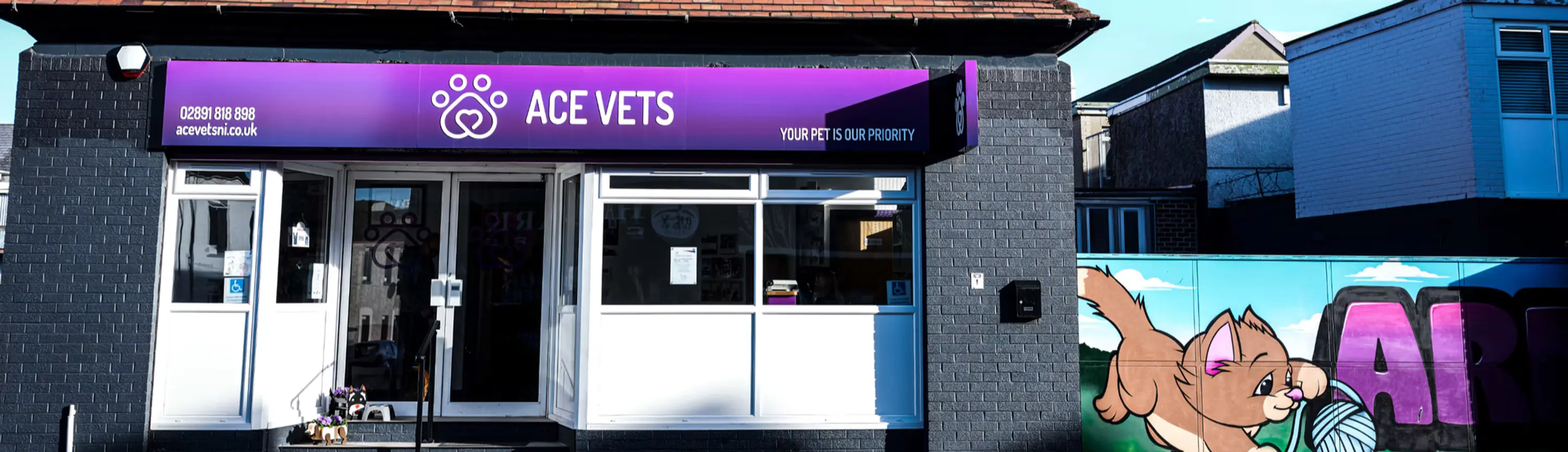 Ace Vets practice photo