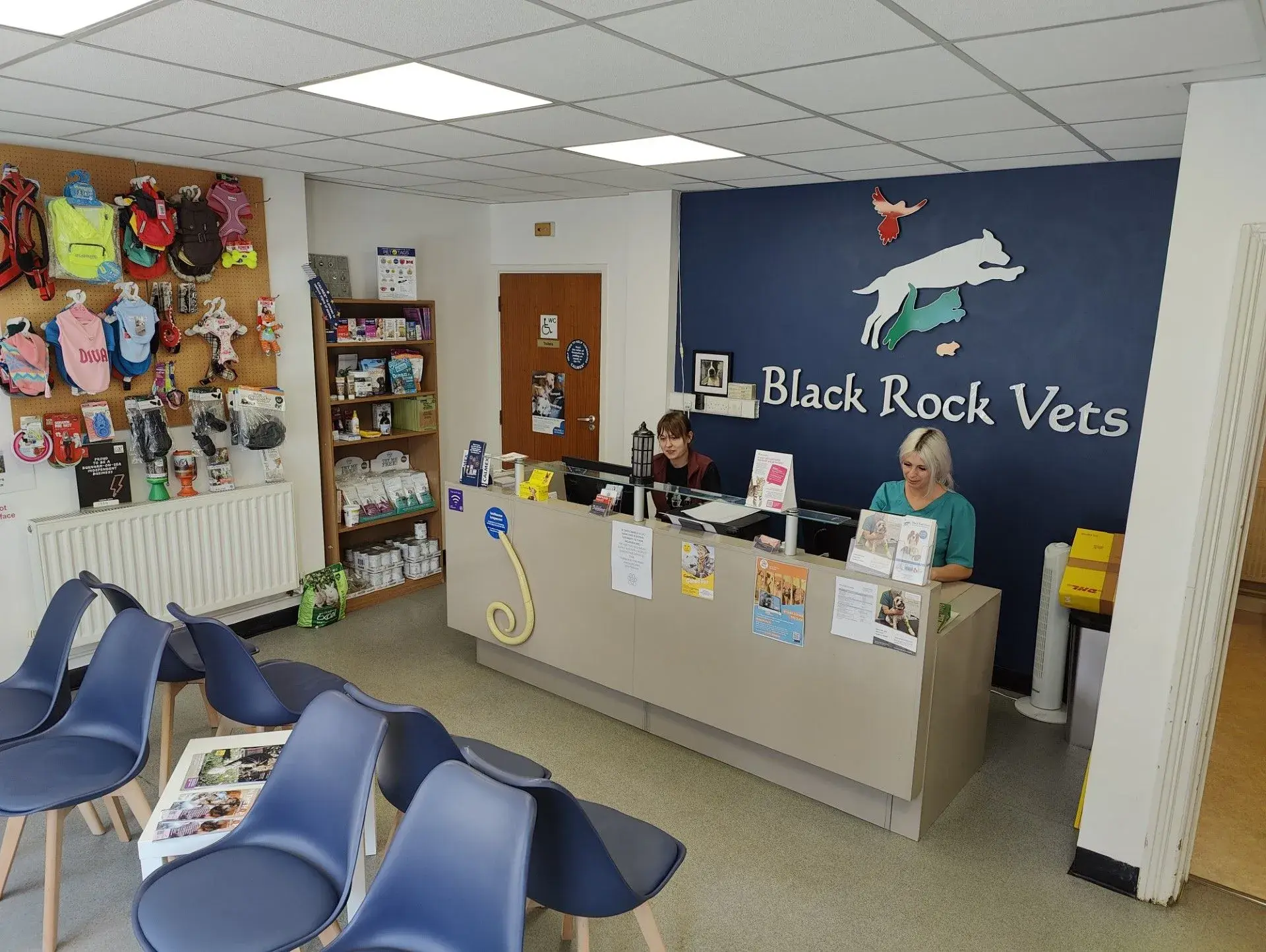 Black Rock Vets practice photo