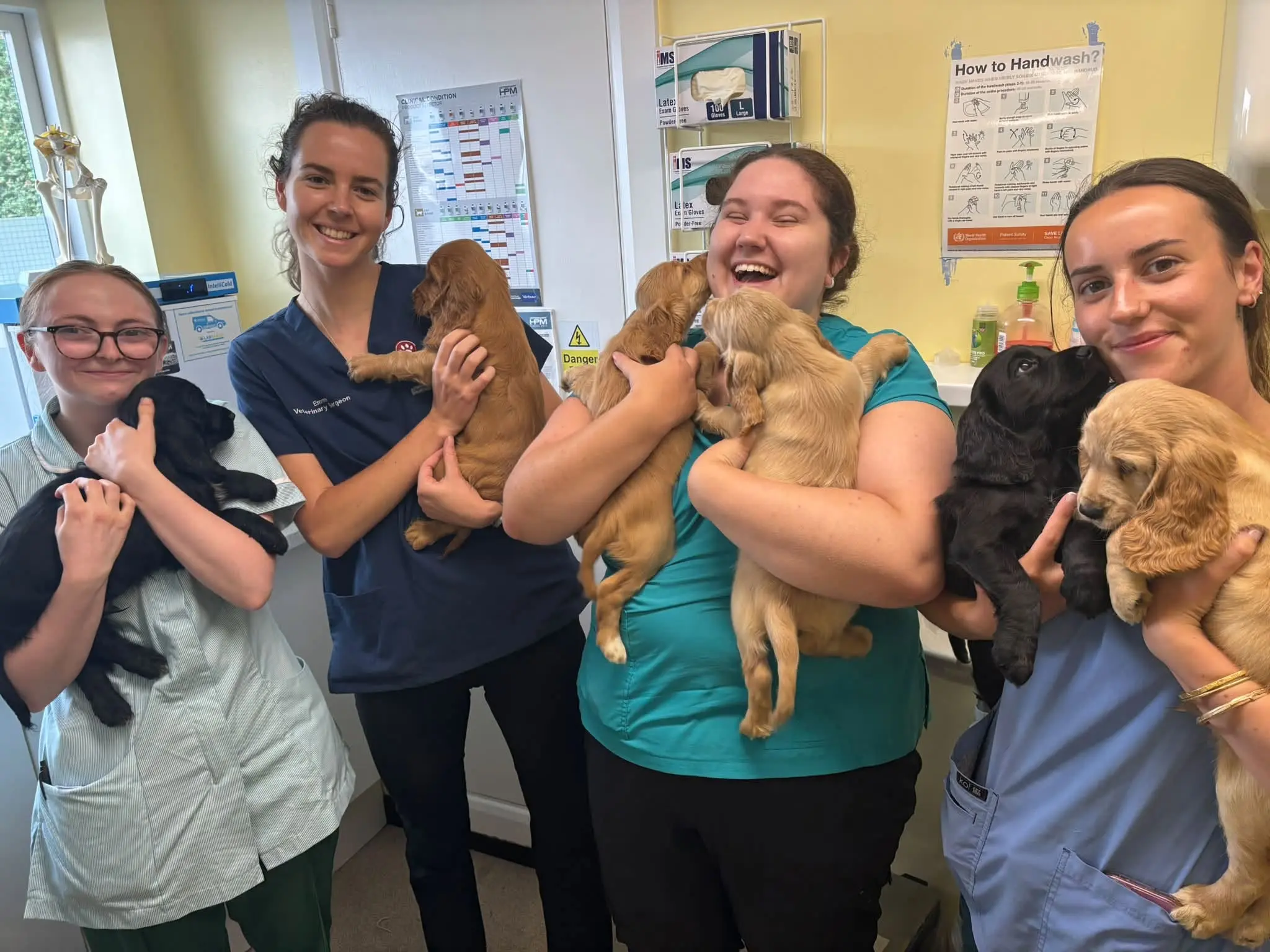 Milestone Veterinary Centre practice photo