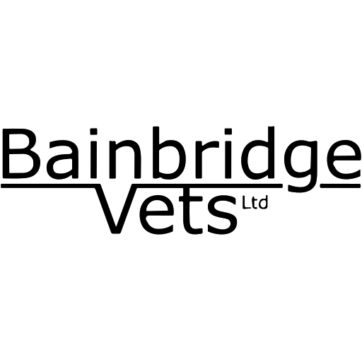 Bainbridge Vets - Askrigg logo