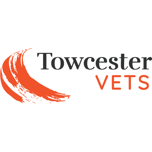 Towcester Vets - Paulerspury logo
