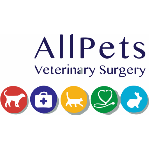 All Pets Vets - Rhyl logo