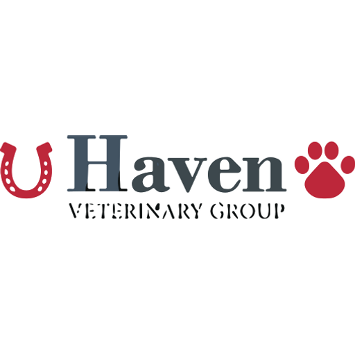 Haven Vet Group - Hull logo