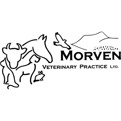 Morven Veterinary Practice - Alford logo