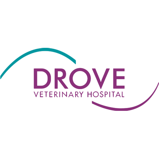 Drove Vets - Royal Wootton Bassett logo