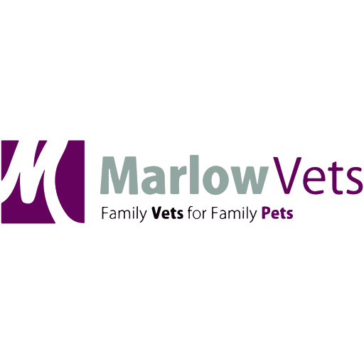 Marlow Vets - Magor logo