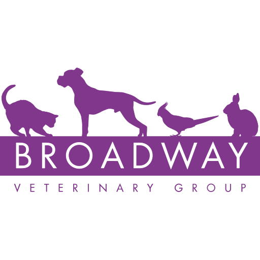 Broadway Veterinary Centre - Herne Bay logo