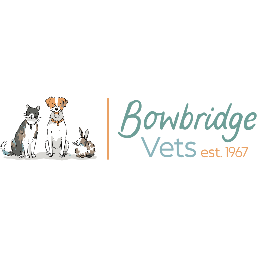 Bowbridge Vets - Stroud logo