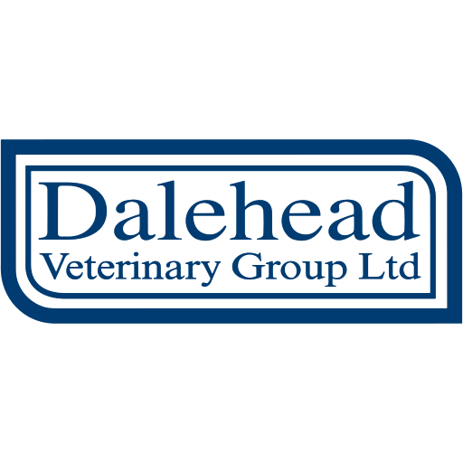 Dalehead Veterinary Group - Bentham logo
