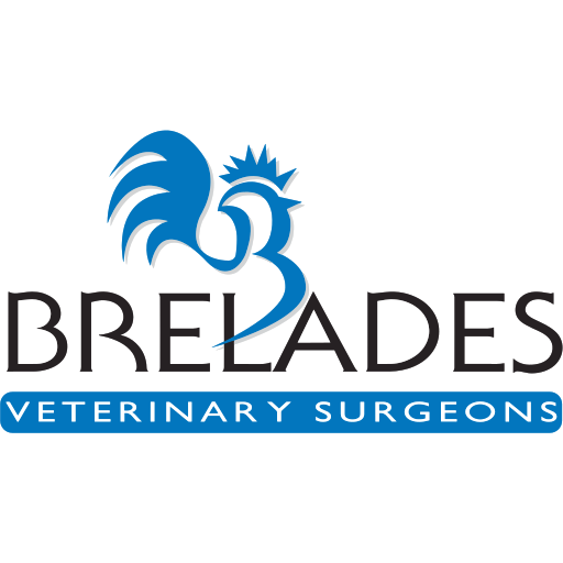 Brelades Veterinary - Dorking logo
