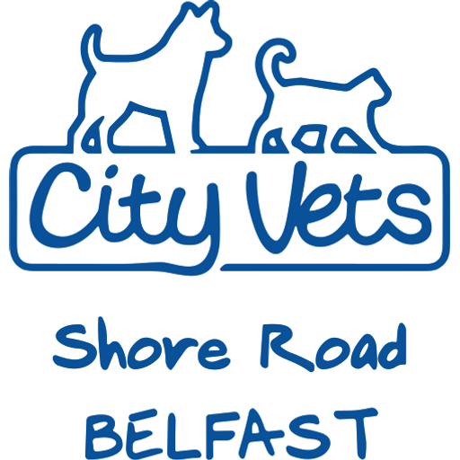 City Vets - Ravenhill logo