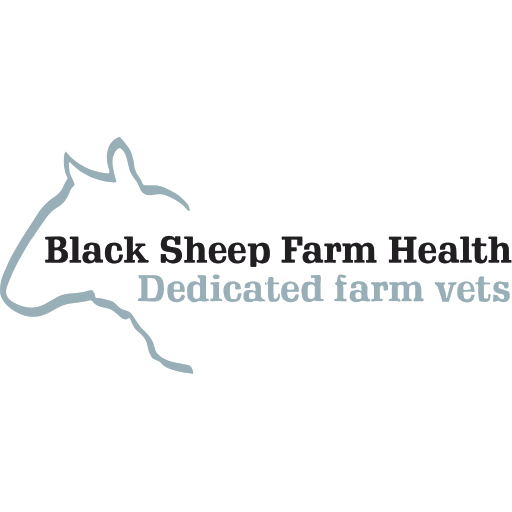 Black Sheep Farm Health - Belford logo