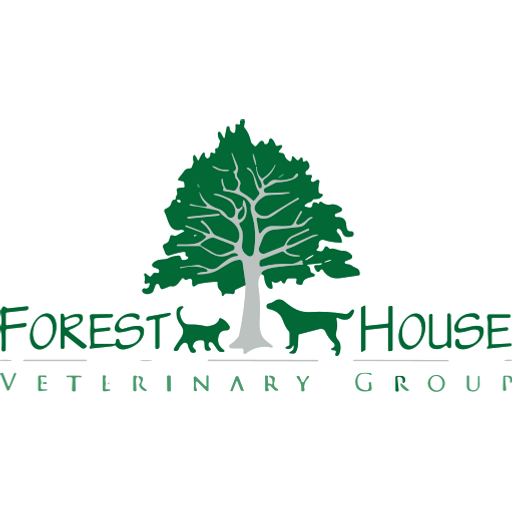 Forest House Vets - Ascot logo