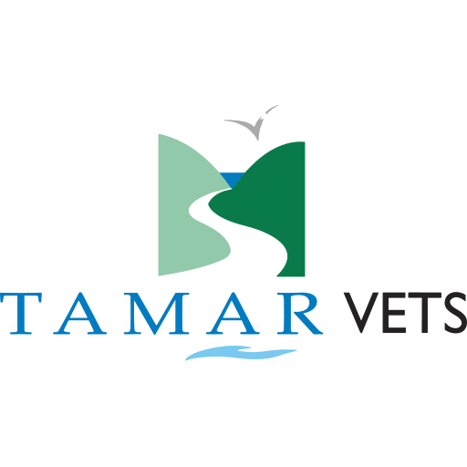 Tamar Vets - Bude logo