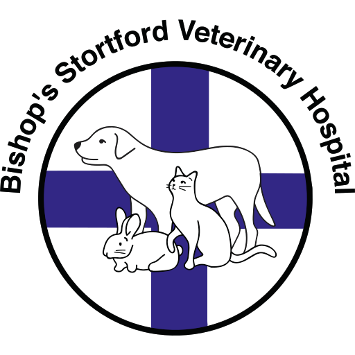 Bishops Stortford Vets - Bishops Stortford logo