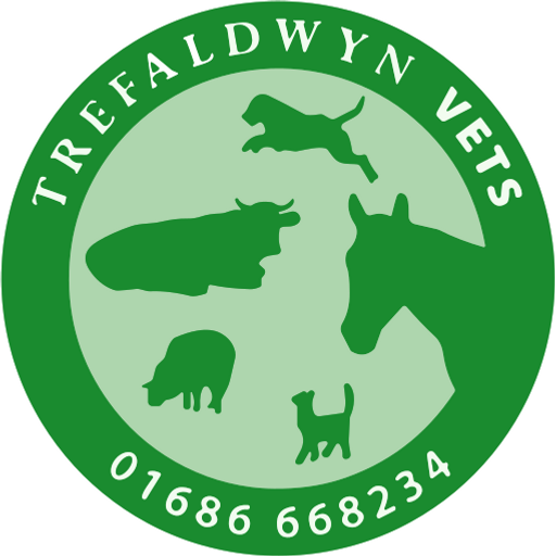 Trefaldwyn Veterinary Clinic - Montgomery logo