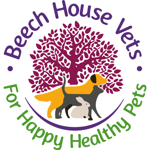 Beech House Vets - Cobham logo