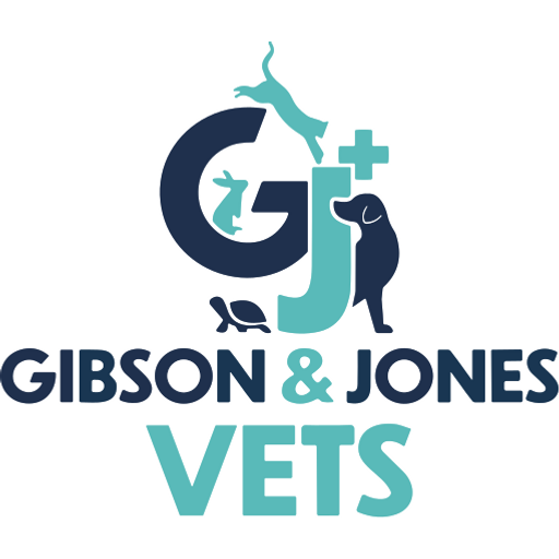 Gibson & Jones Vets - Gowerton logo