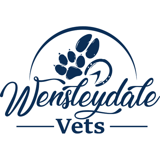 Wensleydale Vets - Leyburn logo