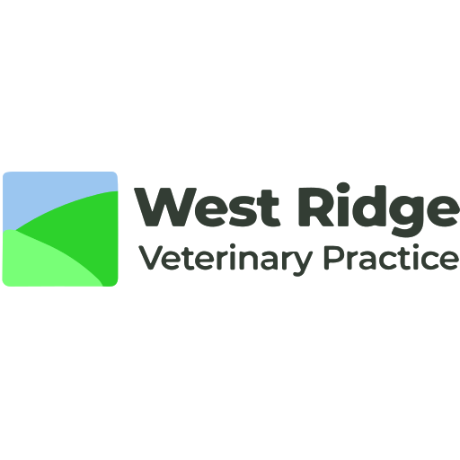 West Ridge Veterinary Practice - Winkleigh logo