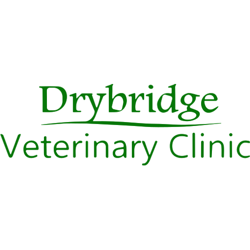 Drybridge Veterinary Clinic - Coleford logo