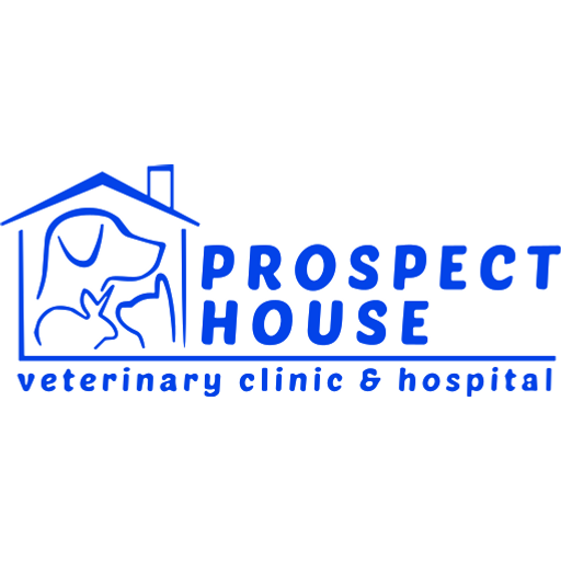 Prospect House Vets - Colwyn Bay logo
