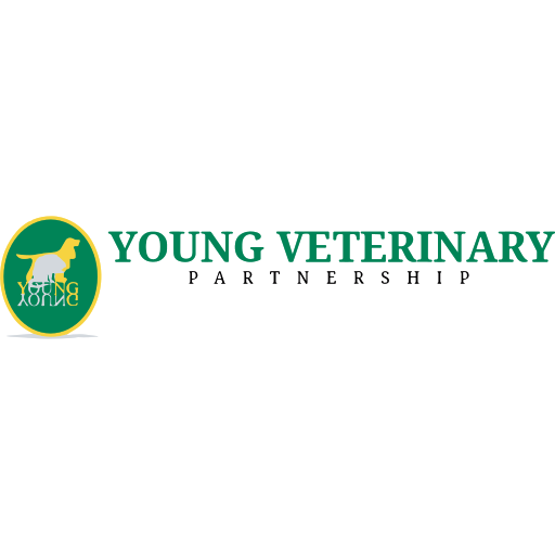 Young Vets - Chiswick logo