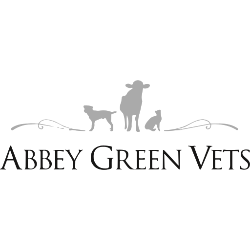 Abbey Green Vets - Broadway logo