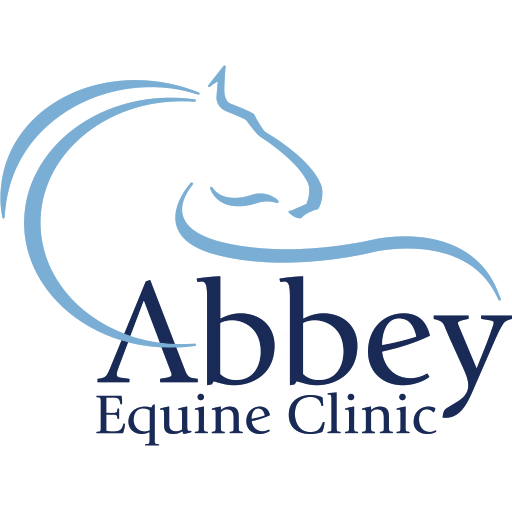 Abbey Equine - Abergavenny logo