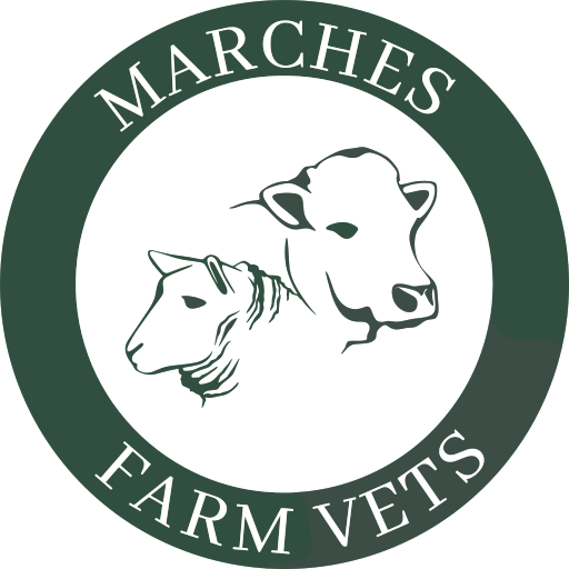 Marches Farm Vets - Ludlow logo