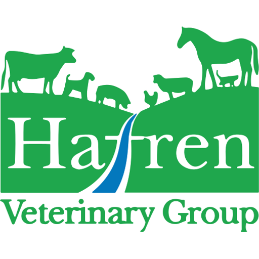 Hafren Vets - Crossgates logo