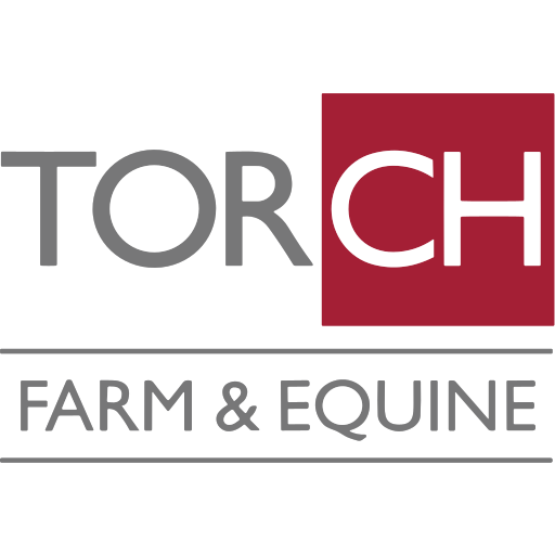 Torch Farm and Equine Vets - Bideford logo