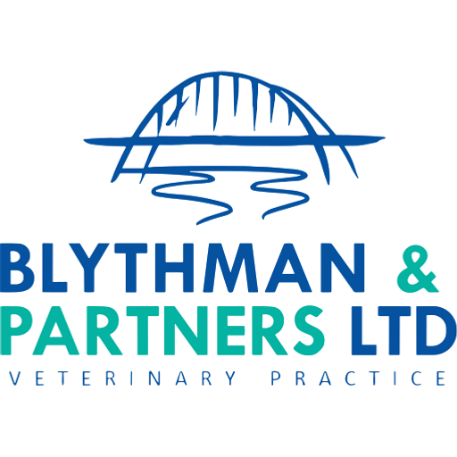 Blythman and Partners - Gateshead logo