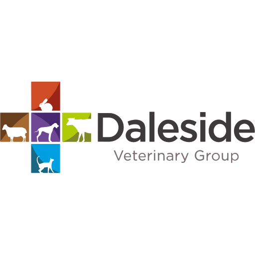 Daleside Vets - Shotton logo