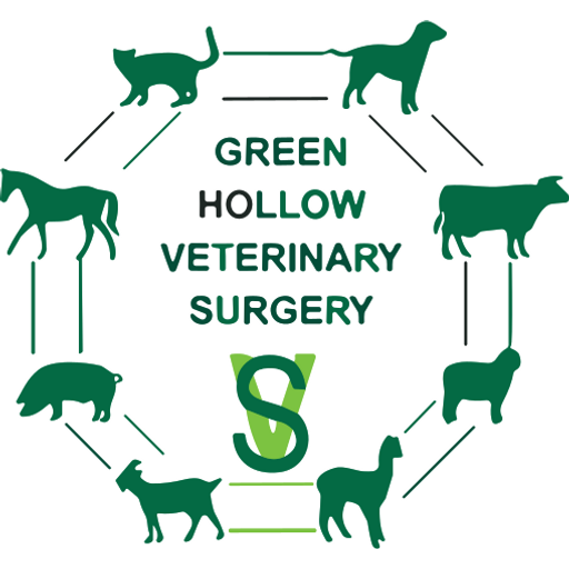 Green Hollow Veterinary Surgery - Shawbury logo
