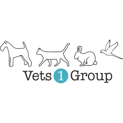 Vets One Group - King's Lynn logo