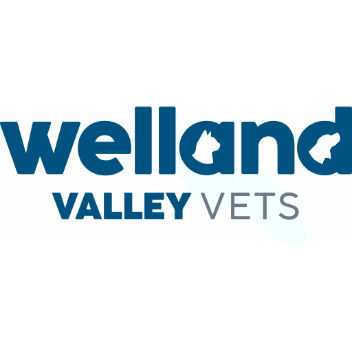 Welland Valley Vets - Peterborough logo