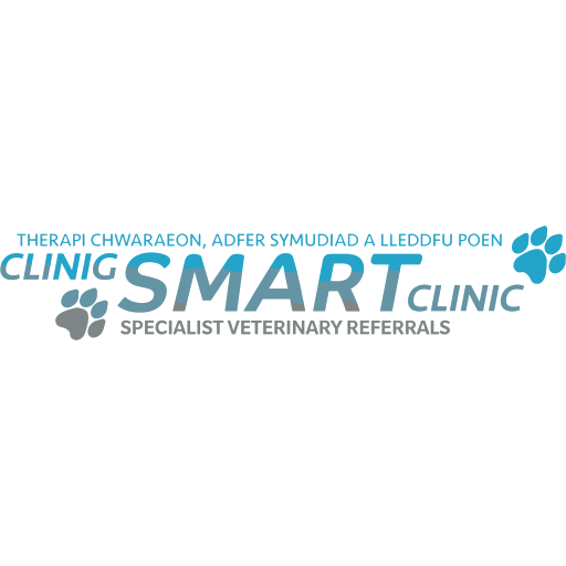 SMART Specialist Veterinary Referrals - Swansea logo
