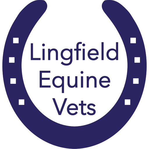 Lingfield Equine Vets - Felbridge logo