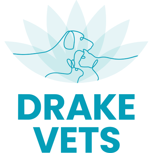 Drake Vets - Tavistock logo