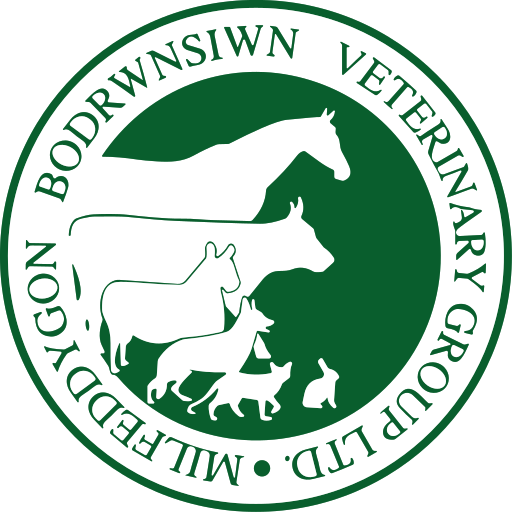 Bodfryn Siwn Vets - Amlwch logo