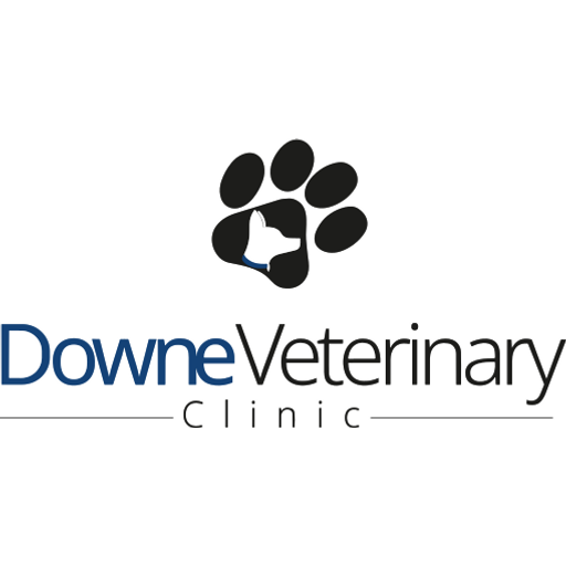 Down Vets - Downpatrick logo