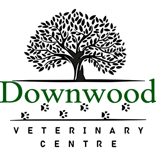 Downwood Veterinary Centre - Horam logo