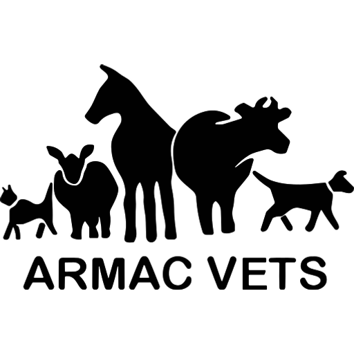 ARMAC Vets - Biggar logo